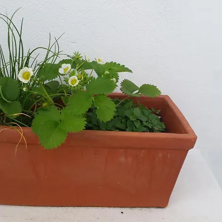 Holiday home Casas Do Patheo