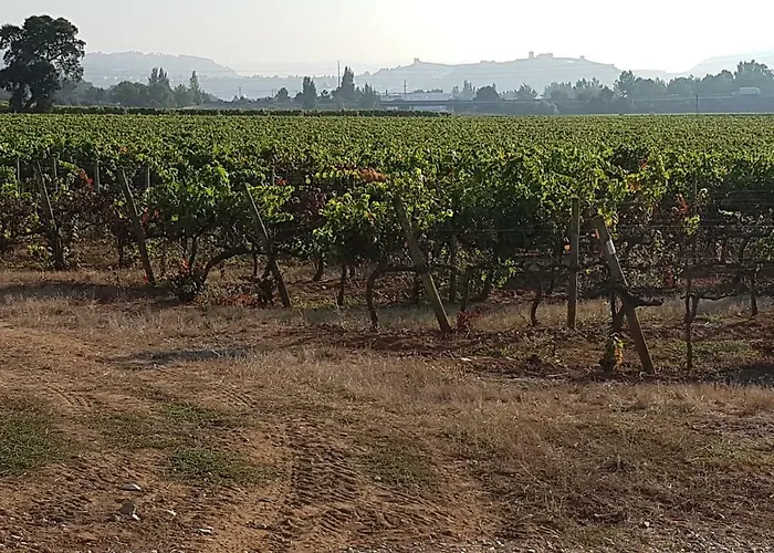 Сasa de vacaciones Casas Do Patheo Óbidos