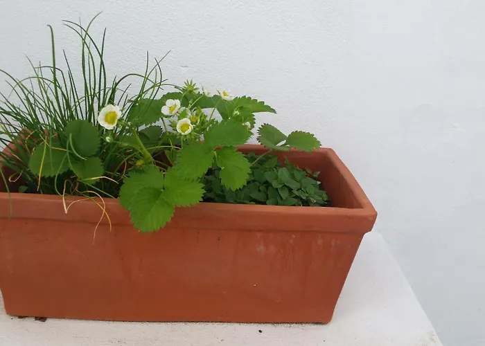 Сasa de vacaciones Casas Do Patheo